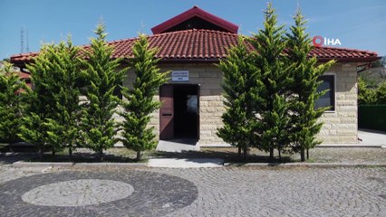 Kocaeli’de yaşlı adamın taşladığı köpek bakım evine alındı