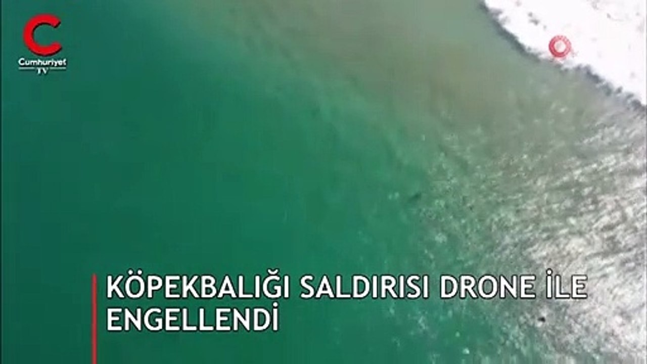 Drone hayatını kurtardı... Köpekbalığı saldırısı böyle engellendi