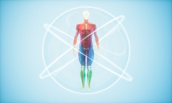 Dos ojos, dos brazos, dos piernas… Así se construye un ser humano