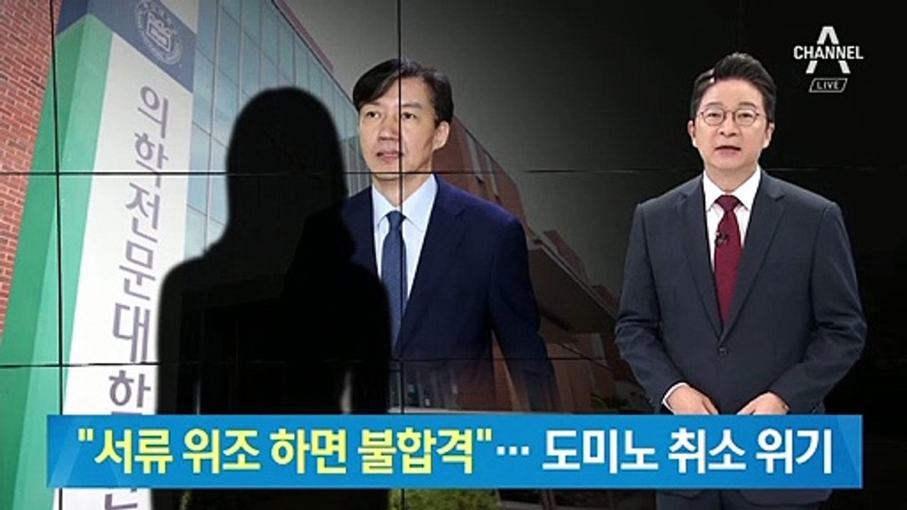 “서류 위조 하면 불합격”…조국 딸 도미노 입학 취소 위기