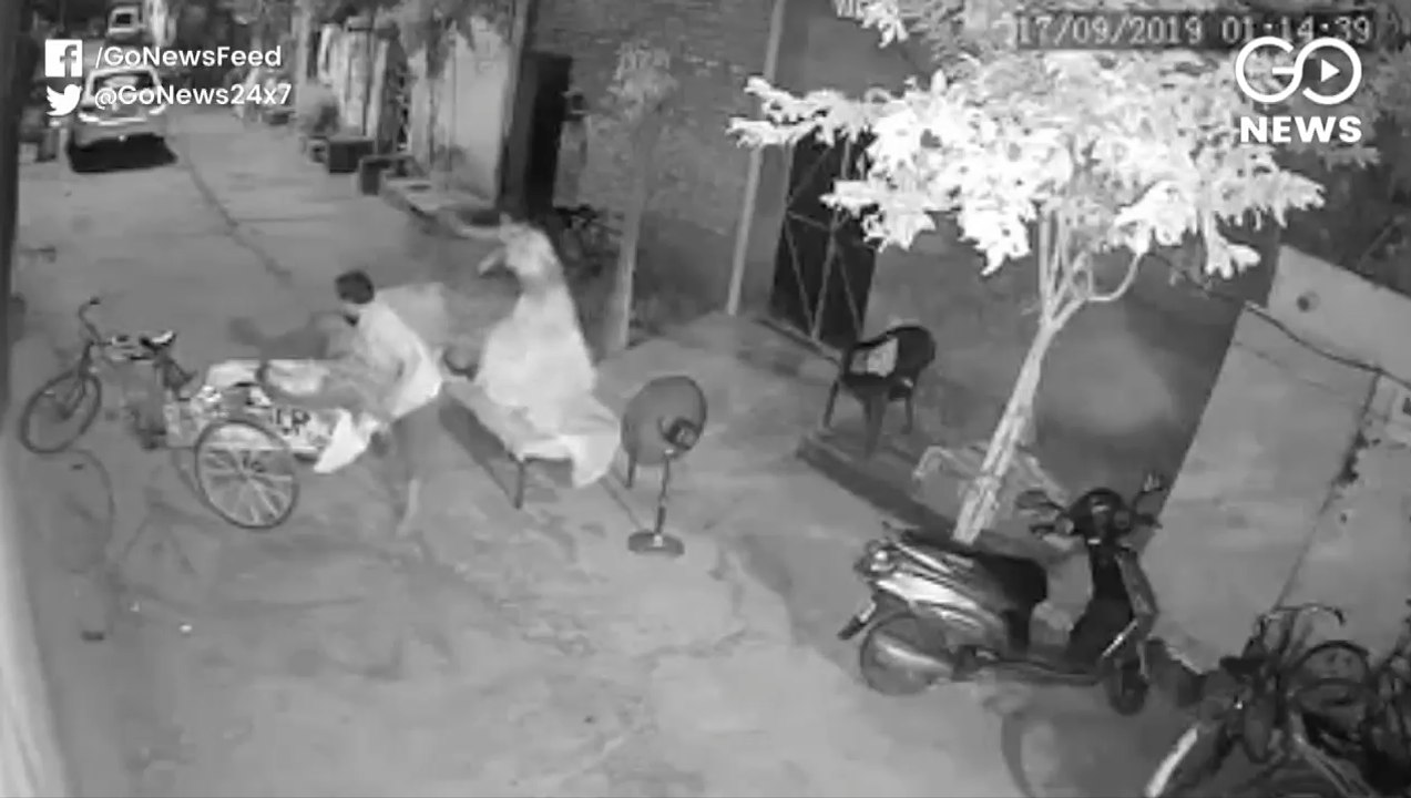 Brazen Baby-Snatcher Caught On Camera