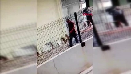 Antalya yaşlı kadını kümese sokup, başına çekiçle vurdu, bileziğini çaldı