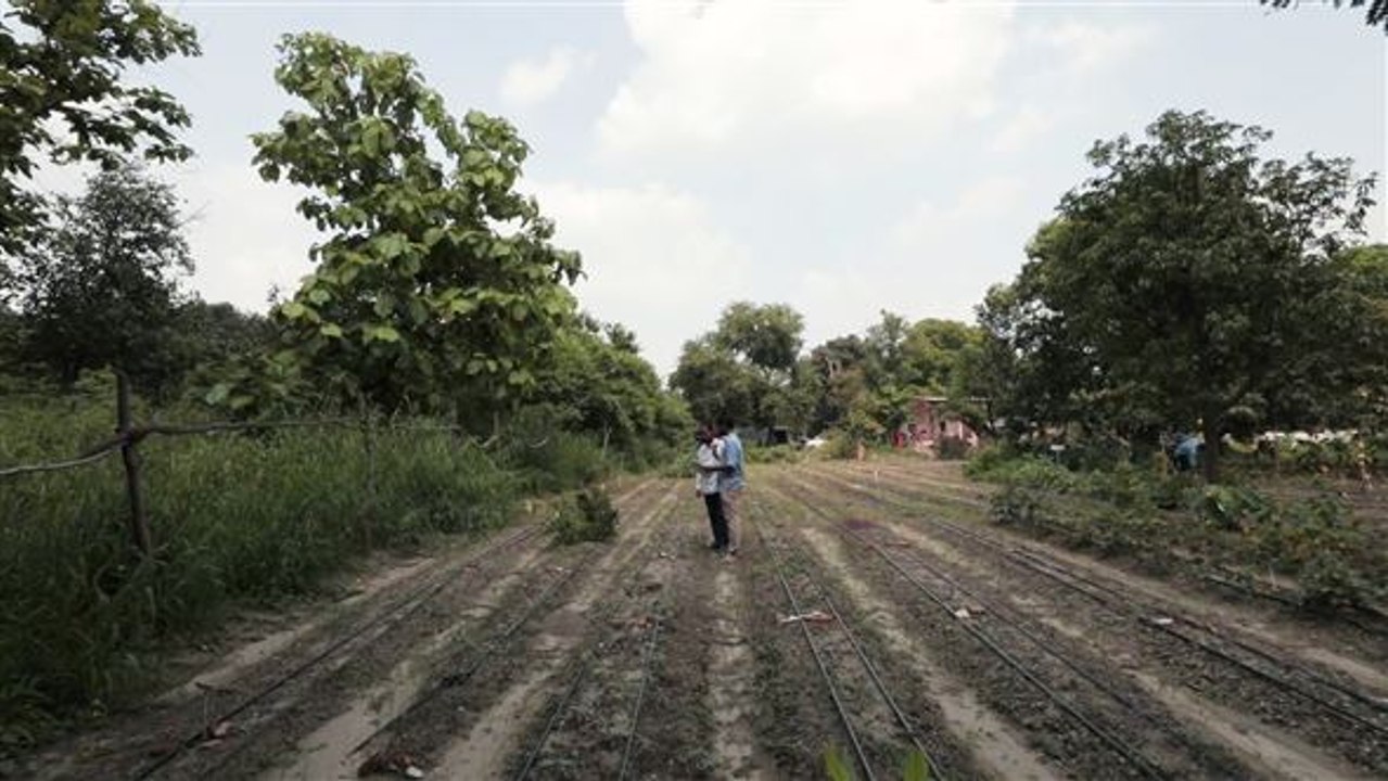 Green heroes: edible routes