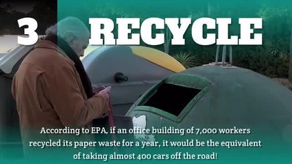 Five things you can do to save the environment