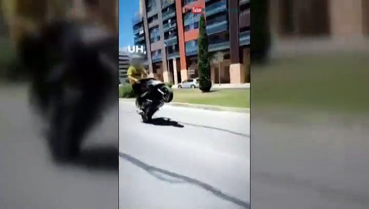 Burradas al volante