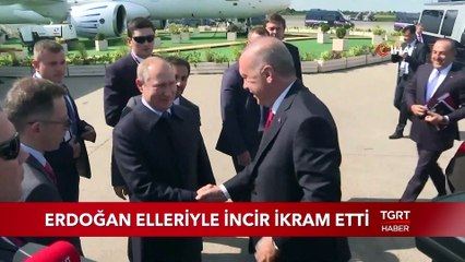 Cumhurbaşkanı Erdoğan Putin'e İncir İkram Etti