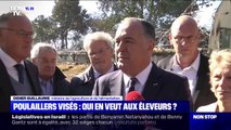 Poulaillers visés: qui en veut aux éleveurs ?