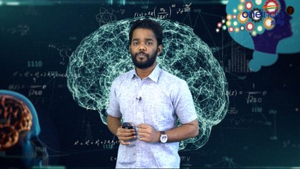 Human brain structure and function in tamil |மனிதர்களின் நினைவு திறன் எப்படி சாத்தியமாகிறது ?