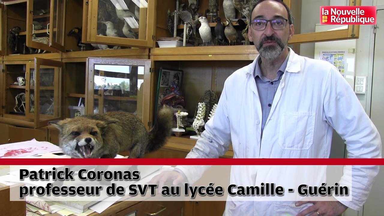 VIDEO. Poitiers : les animaux du lycée Camille-Guérin ont rendez-vous avec les Journées du patrimoinese