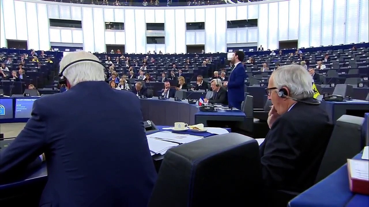 Zanni in Aula al Parlamento Europeo sulla BREXIT (18.09.19)