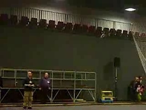 Salon du modelisme de Grande-Synthe - T-rex 450