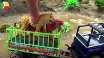 Learn Wild Animals Names with Tractor Truck transport