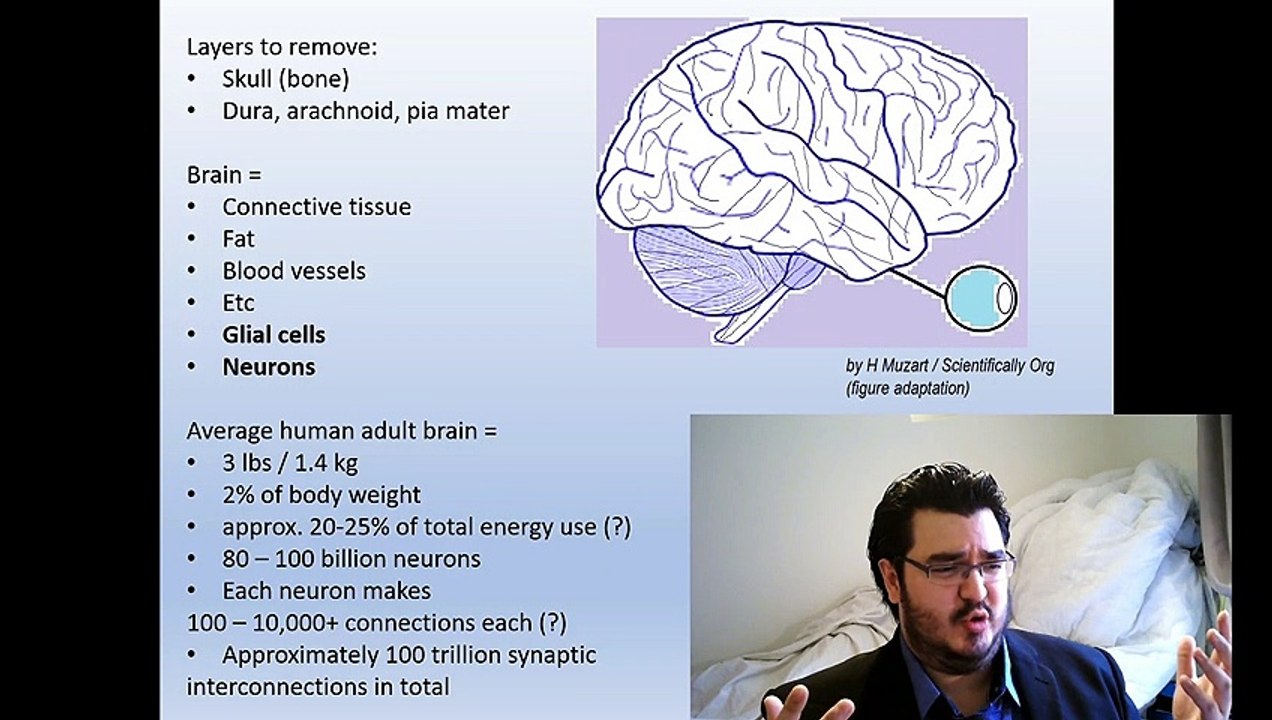 Neuroscience Tutorial S1-C8