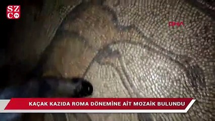 Video herunterladen: Kaçak kazıda Roma dönemine ait mozaik bulundu