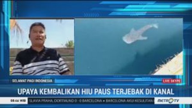 PLTU Paiton Masih Berusaha Keluarkan Hiu Paus di Kanal Air
