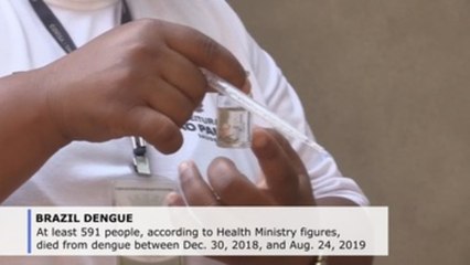 Brazil battles dengue as cases near 1.5 million