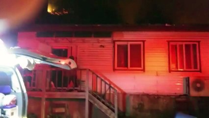 울릉도 식당서 불...부근 야산 태우고 진화 / YTN