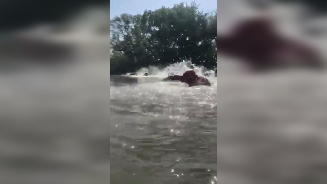 Curso de rescate en riadas en Arganda del Rey (Madrid)