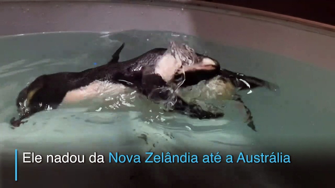 De volta ao mar