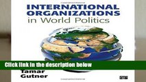 Full version  International Organizations in World Politics  Review