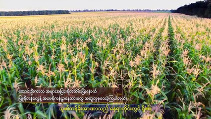 Myanmar Gospel Music Documentary (အရာခပ်သိမ်းအပေါ် အချုပ်အခြာအာဏာ စွဲကိုင်ထားသူ) အမေရိကန်ပြည်ထောင်စု တက်လာခြင်းနှင့် ၎င်း၏လုပ်ငန်းတာဝန်