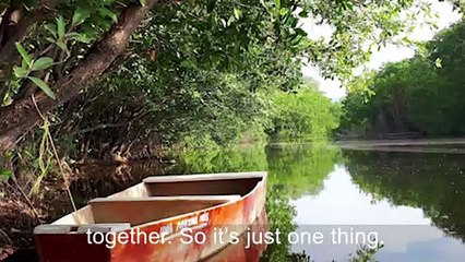 Save Punta Conejo, One of the World's Best Pointbreaks