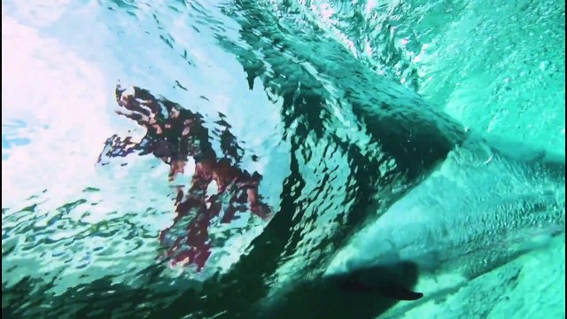 Tatiana Weston-Webb Unveils Body Glove's New Eco-Friendly Line