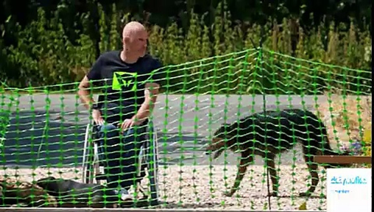 Grand Designs Season 20 Episode 3#Grand Designs S 20 E 3