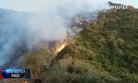 Hutan di Lereng Gunung Slamet Terbakar