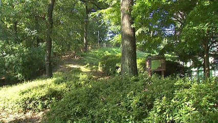 'DNA 일치' 화성 연쇄살인 9차 사건 현장 가보니... / YTN