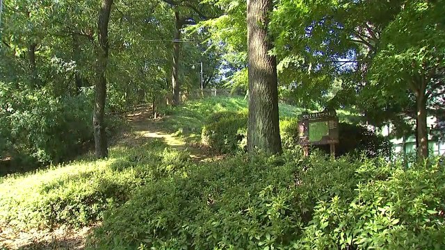 'DNA 일치' 화성 연쇄살인 9차 사건 현장 가보니... / YTN