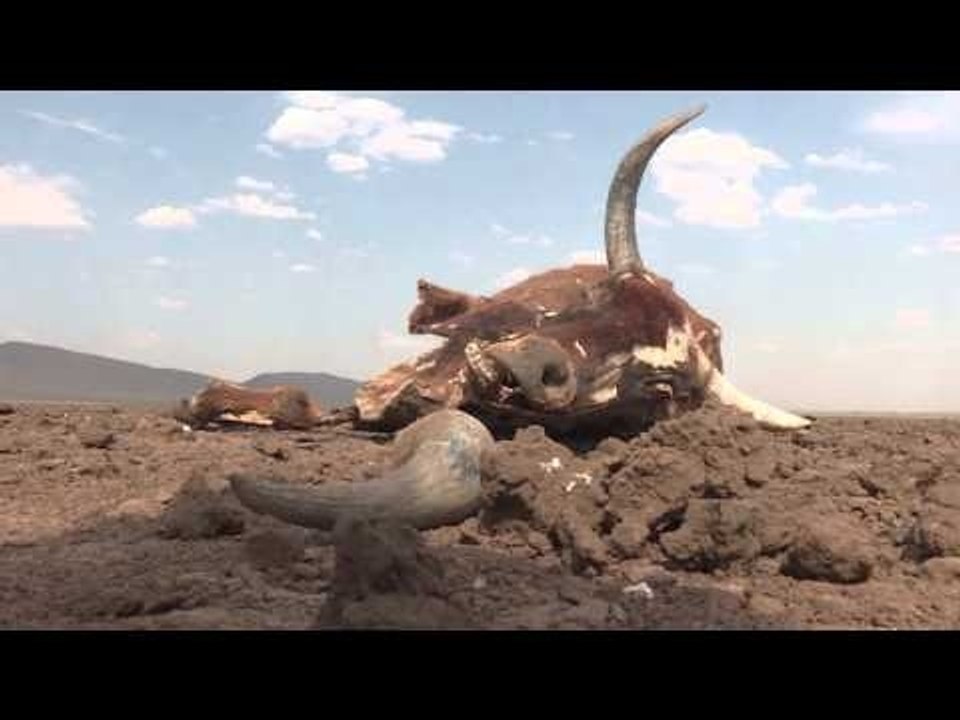 En Afrique du Sud, solidarité contre la pire sécheresse depuis un siècle