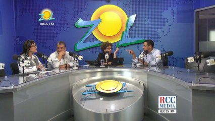 Elizabeth Mateo dice Leonel Fernandez y su equipo están preparando el terreno para su derrota