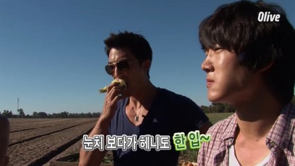 두 번째 미션, 서호주의 청정재료를 찾아라!_양파