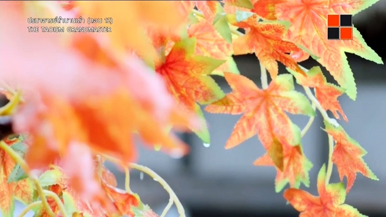 ปรมาจารย์ตำนานเต๋า : ตอนที่ 12