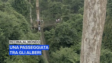 Parco Nazionale di Kakum