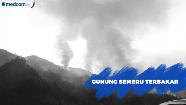 Kebakaran Hutan di Jalur Pendakian Gunung Semeru