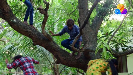 Swapnam Our Chaaku | Flowers | Epi# 03