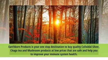 Siberian Chaga Mushroom Extract