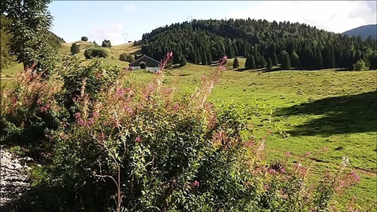 Les-Hautes-Combes depuis la Borne au Lion