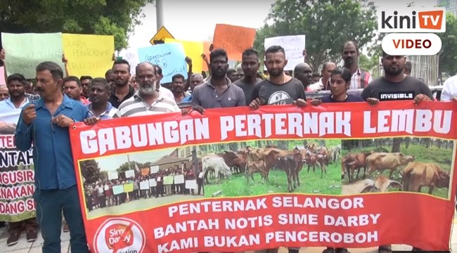 Penternak bantah notis Sime Darby, hantar memo ke Kementerian