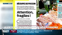 Dupin Quotidien : Alerte sur la fraîcheur de nos poissons - 19/09