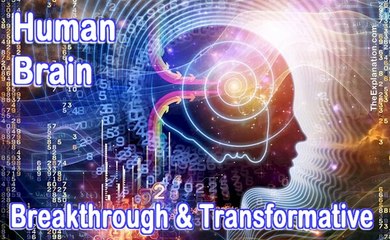 Human brain structure in Tamil | மனிதர்களின் நினைவு திறன் எப்படி சாத்தியமாகிறது?