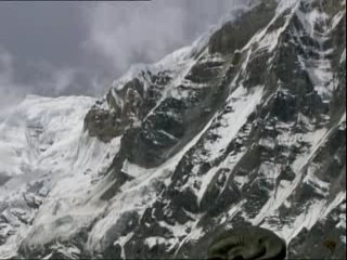 La planète à travers les âges