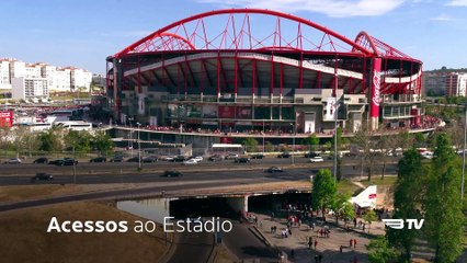 The Estádio da Luz Stadium