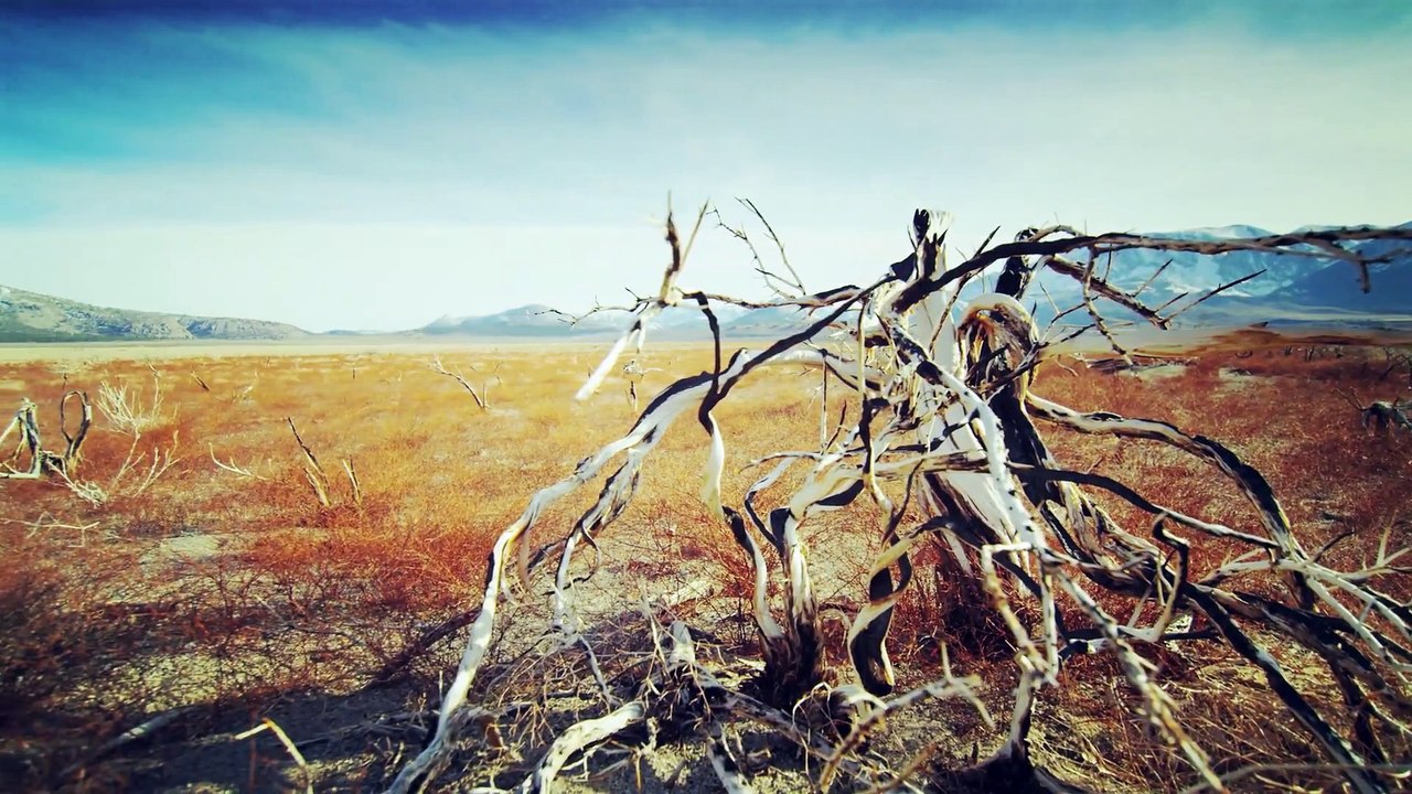 Head over Heart by Gilles Zeimet