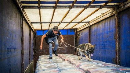 Dodici foreign fighter identificati dall'Interpol nel Mediterraneo