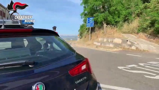 Orune (NU)- Arrestato un 44enne per coltivazione illegale di cannabis (19.09.19)