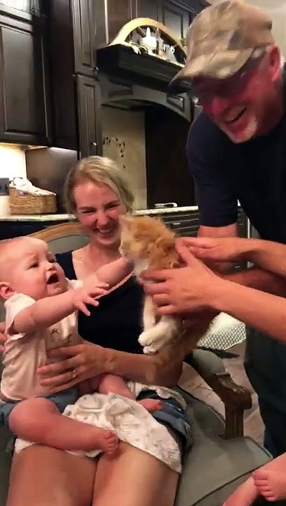 Pauvre chat vs deux gosses