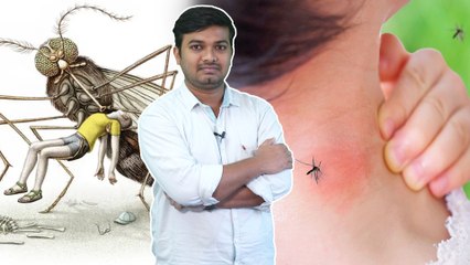 The Mosquitoes Are Coming For Us || మనుషుల రక్తానికి రుచిమరిగిన దోమలు